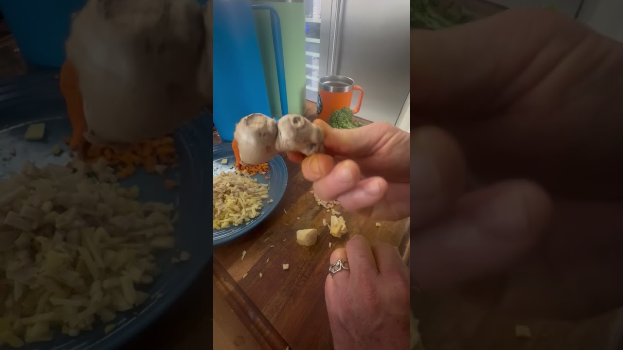 Dog Caner Cure Simple