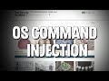 How hackers can ran commands on pc // OS Command Injection // Free Course by Web Security Academy