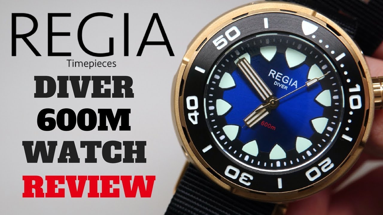 (4K)  REGIA DIVER 2017 600M MEN'S WATCH REVIEW