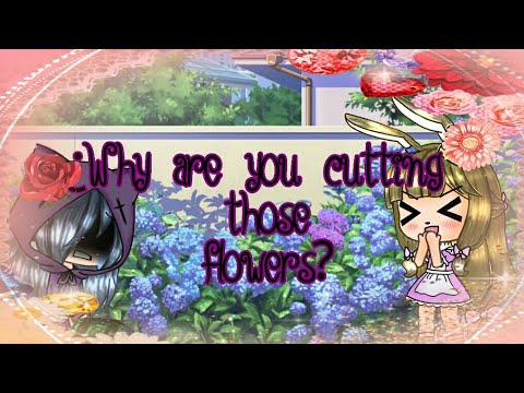 🌹¿Why are you cutting those flowers?🌹Meme GL ocs:Sofia y ?