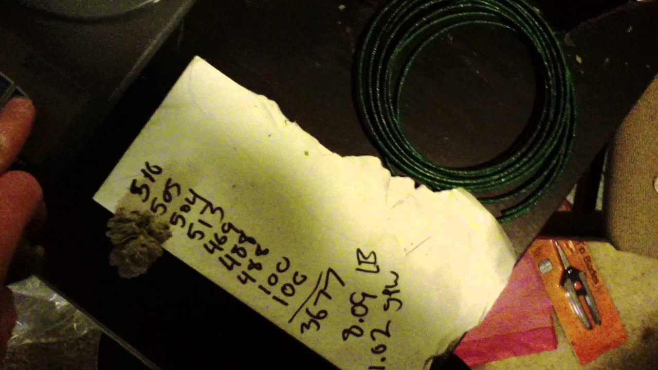 thats not a seed zealot... ita honey mustard