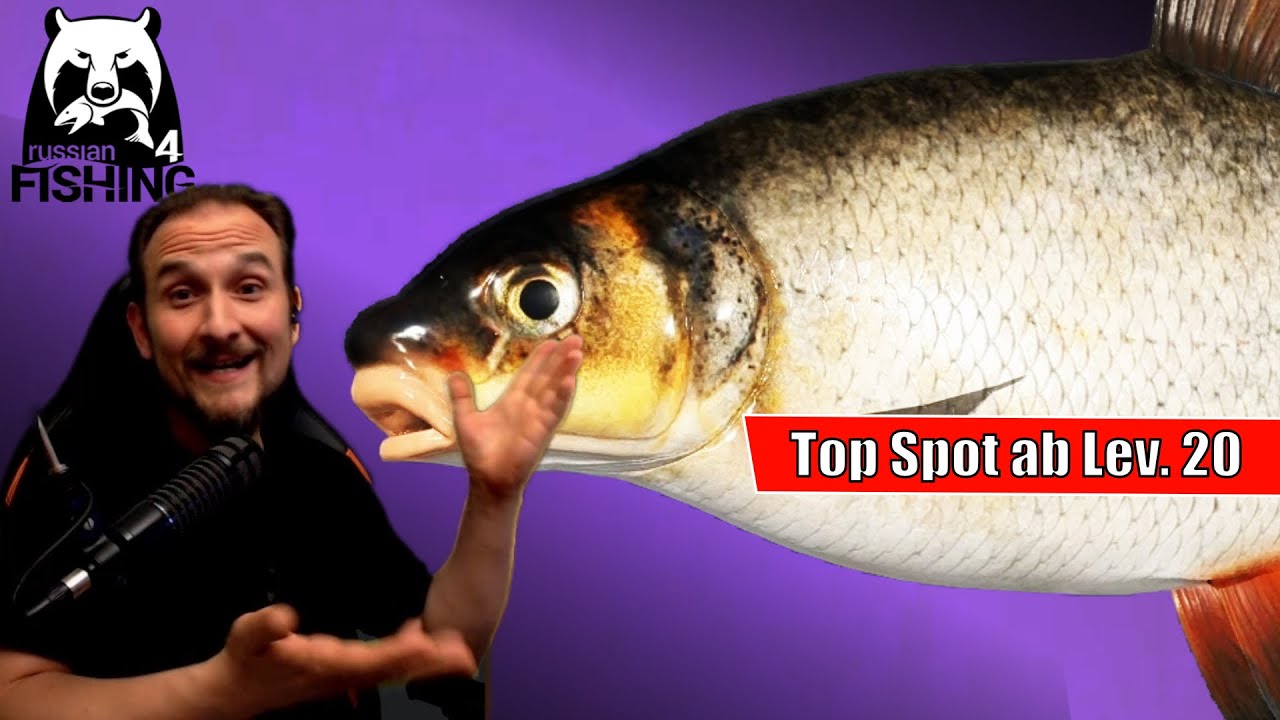 Russian Fishing 4 - Wolchow - Zährte Spot ab Lev. 20