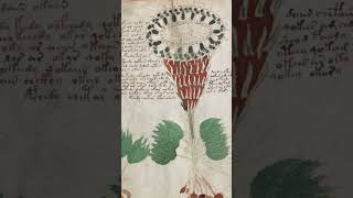 Cracking the Code: Unraveling the Mysteries of the 600-Year-Old Voynich Manuscript
