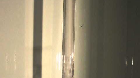 2011-02-14 Group 1: Turbulent Flow, Reynolds Experiment