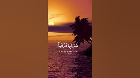 (إِنَّ أَصْحَابَ الْجَنَّةِ الْيَوْمَ فِي شُغُلٍ فَاكِهُونَ)  (55).......... القارئ :  رعد الكردي.