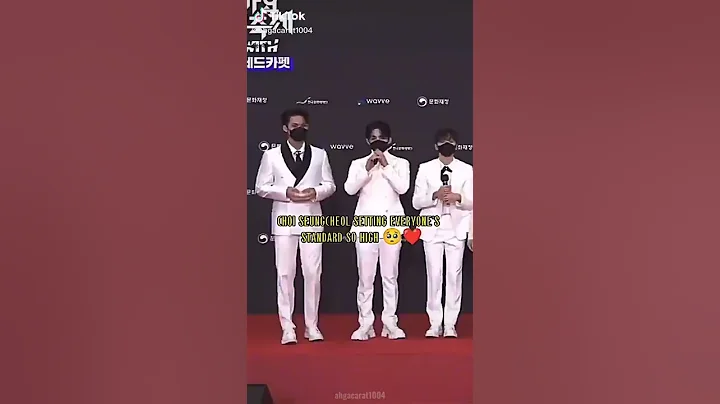seungcheol setting everyone's standard so high😭 best leader indeed
