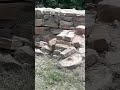 Rahul pal thick cocks