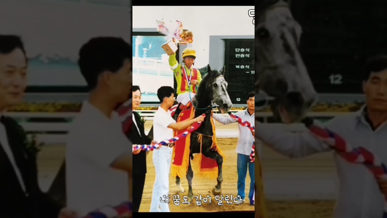 달려라 홍짱아!
