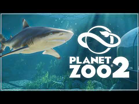 OMG! Sharks Will Do WHAT?! Planet Zoo 2 Aquatic Animals Explained!