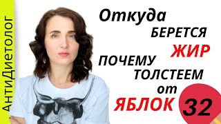 видео: Почему ты НЕ ХУДЕЕШЬ. Жир - Ожирение. Марафон Похудения. День 32 картинка: Почему ты НЕ ХУДЕЕШЬ. Жир - Ожирение. Марафон Похудения. День 32