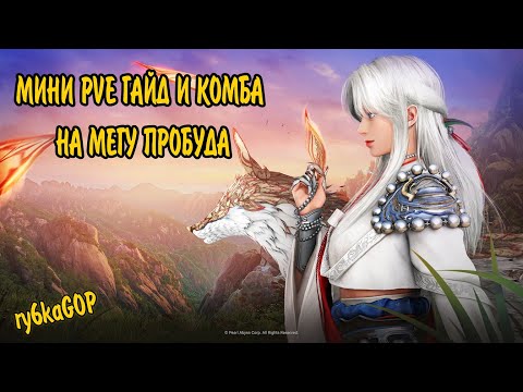 Видео: Black desert : МЭГУ МИНИ ГАЙД ПРОБУДА / КОМБА + МОРФЫ