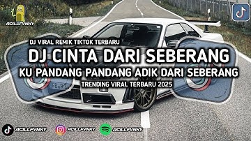 DJ CINTA DARI SEBERANG VIRAL TIKTOK | DJ KU PANDANG PANDANG ADIK DARI SEBERANG REMIX TERBARU 2025