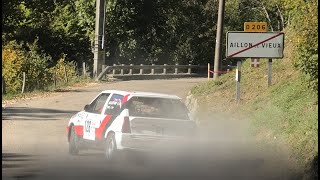 Rallye des Bauges 2025 Crashes ans Mistakes