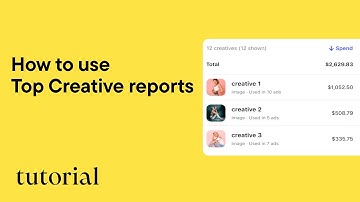 Analyze performance of Meta and TikTok creatives with Top Creatives report in Bïrch