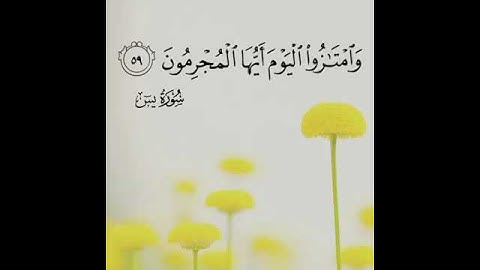 بشير عبدالله سورة يس