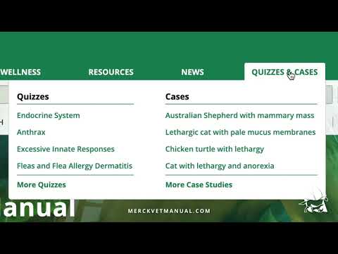 Meet the Merck Veterinary Manual - YouTube