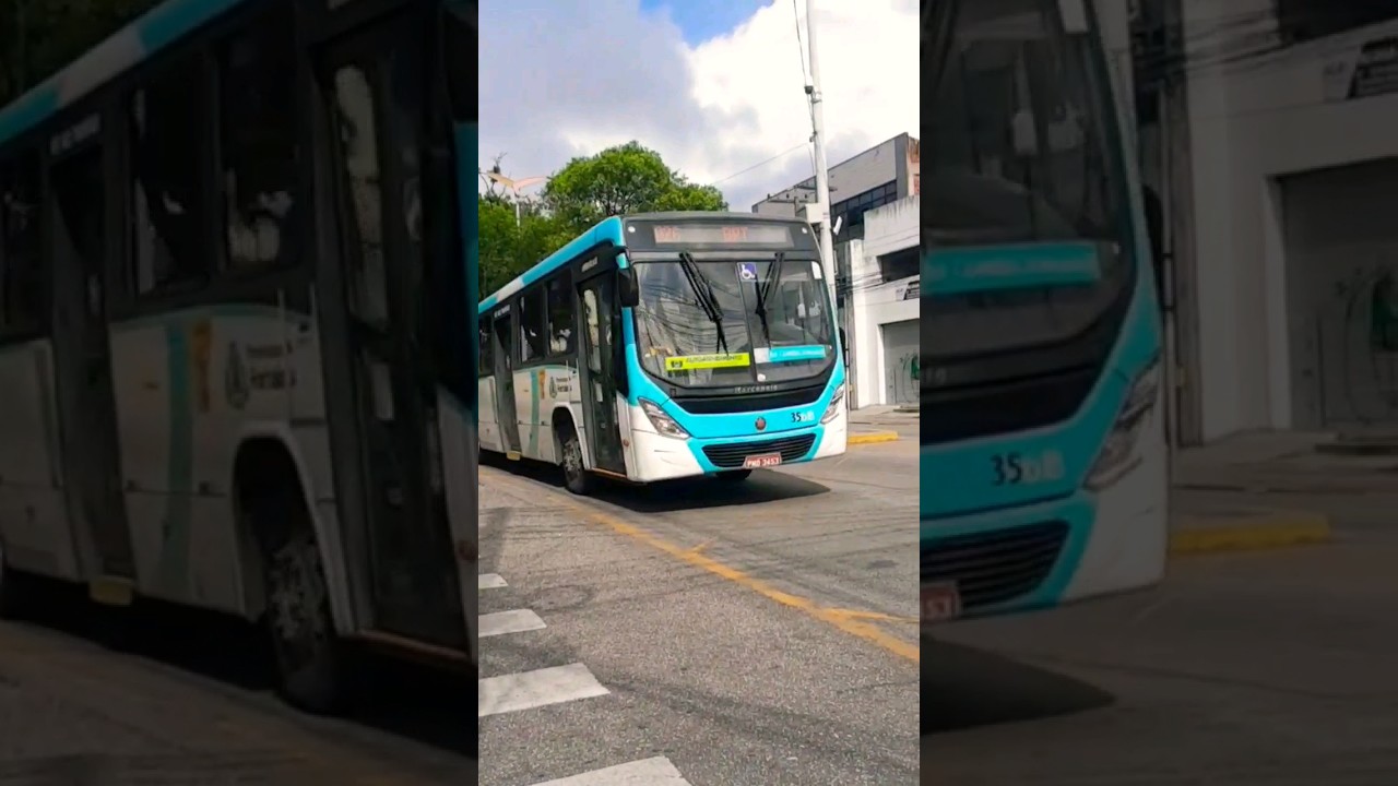 Linhas 026, 031, 752 Vega e COOTRAPS 