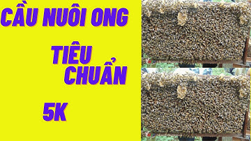 cầu nuôi ong nội địa tiêu chuẩn 42-21 giá 5k cơ sở vật tư An Thịnh