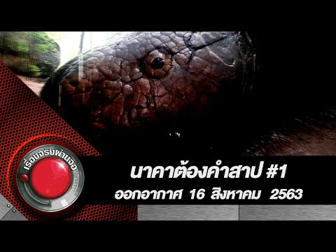 นาคาต้องคำสาป#1 l 16 สิงหาคม 2563