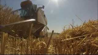 [GoPro] Moisson de l'orge 2014