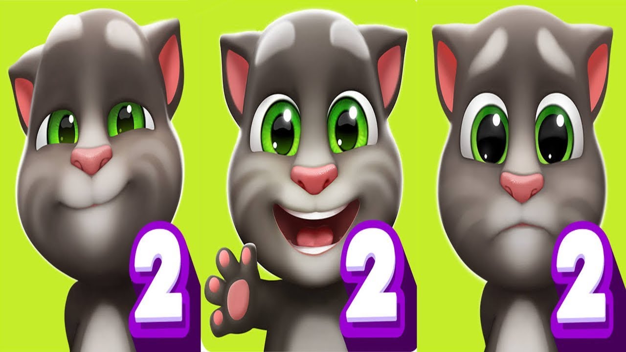 Panda Vs White Vs Gray | My Talking Tom 2 Vs My Talking Baby Tom 2