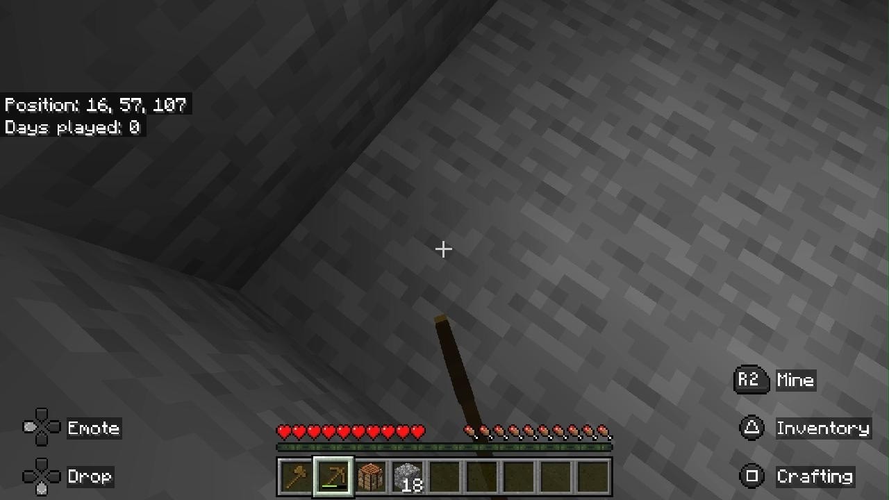 Playing Minecraft with my Mom