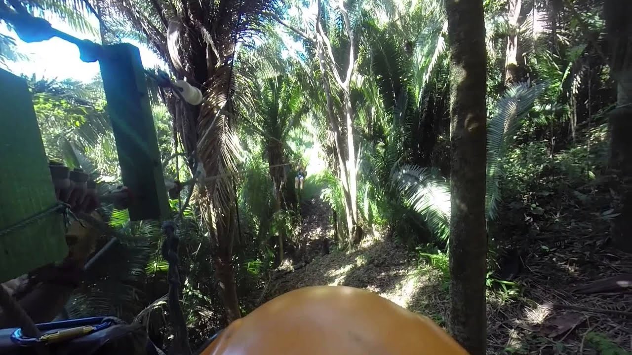 Highest and longest zip line on Roatan Honduras 2/3 YouTube