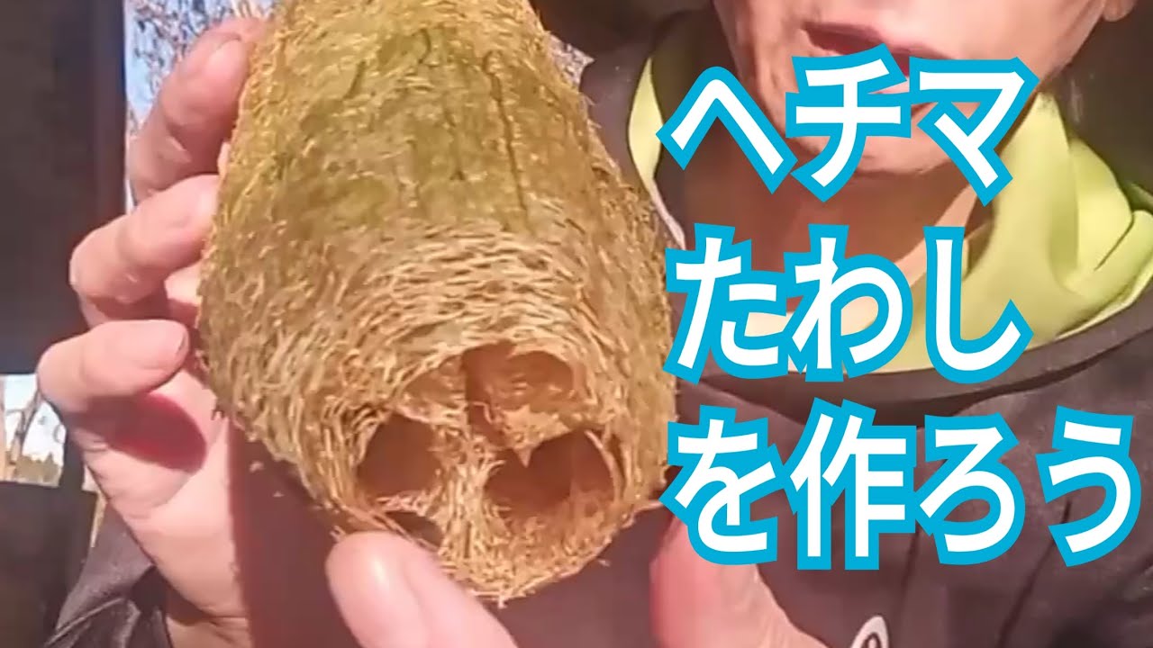 ヘチマタワシの作り方 #家庭菜園 #ヘチマ - YouTube