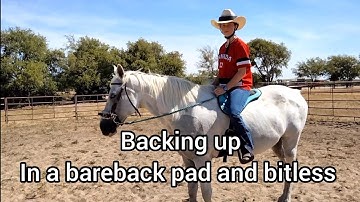 Backing Up using a bareback pad and bitless bridle
