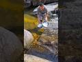 This Rock Hole Produces So many Fish. Using Simple Steel Plate Catch All.. Ep46 #fishinglife #shorts