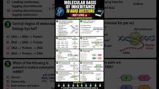 #molecularbasisofinheritanceclass12 #neetquestionpractice #ncert #biology #study #neet #viralshorts