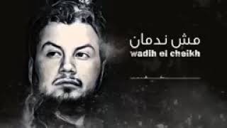 Wadih El Cheikh - Mech Nedman _ وديع الشيخ - مش ند(240P)