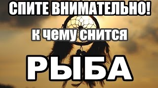 Рыба. К чему снится Рыба? Толкование на примере реальных снов. Сонник Рыба. К чему снится Рыба? Толкование на примере реальных снов. Сонник