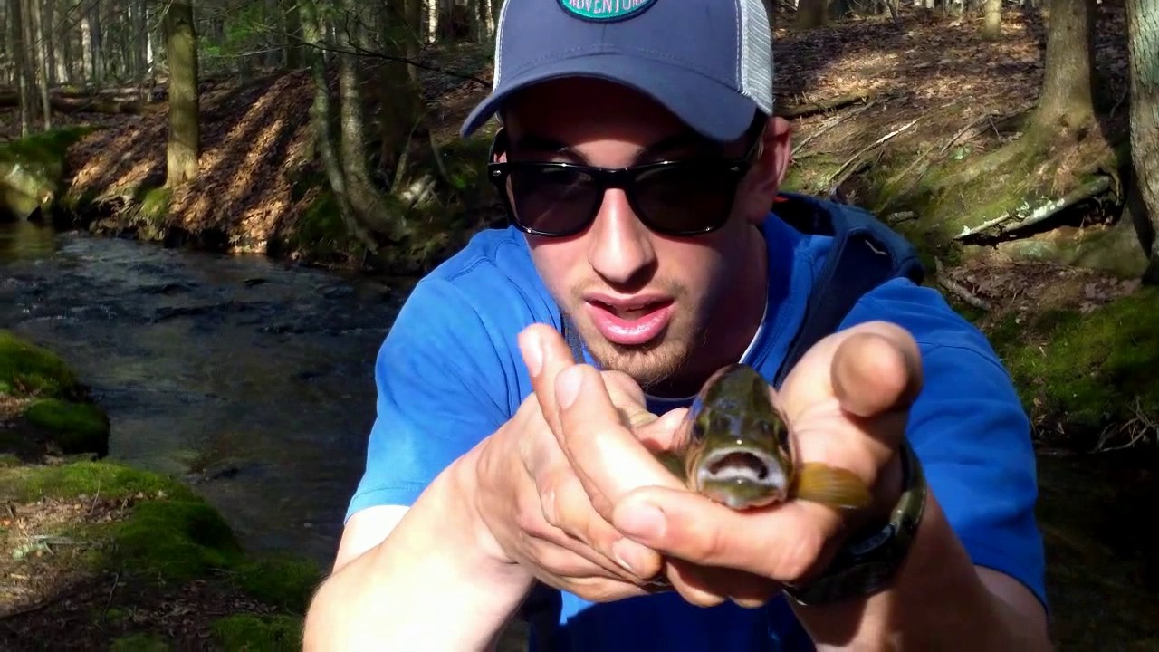 Wild Trout Fishing CT Spring 2017 YouTube