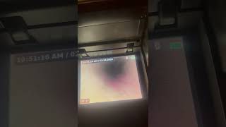 IMG 0886