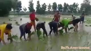 Aku mundur alon alon, video story wa lucu