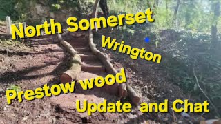 North Somerset, Wrington, Prestow wood Update and Chat.