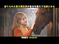 【映画紹介】捨てられた若き競走馬が自分を超えて伝説になる