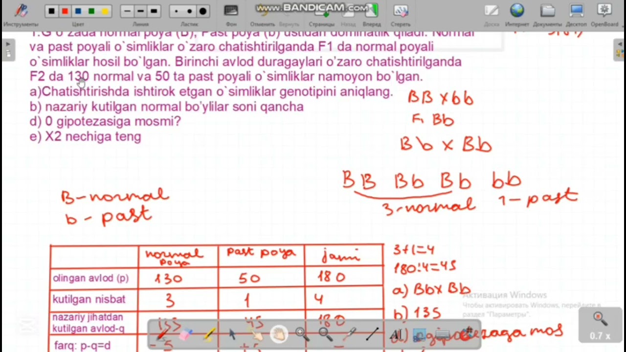 FISHER TENGLAMASI YOKI X²