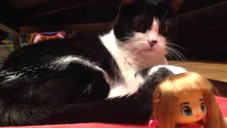 Pin y Pon contando chistes con su gata!!