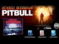 Pitbull '' Global Warming '' ( Album Remix )