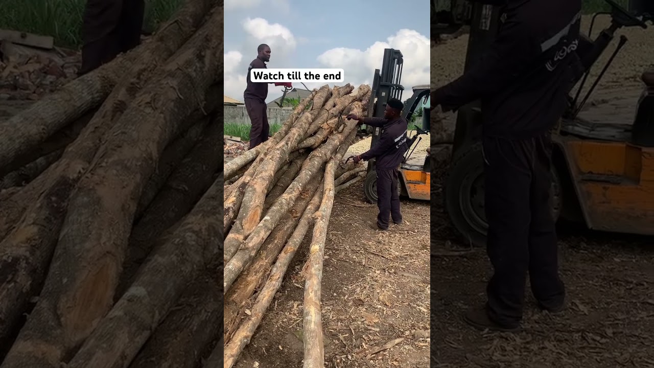 Look at the system I use to dragged the wood with a forklift #trend #viral #view #forklift #driver