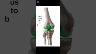 what is joint?#shorrts #definitions #jointpain #views #class3