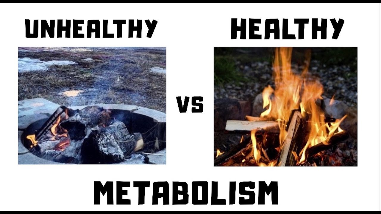How Does Your Metabolism Work? 