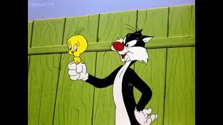 Dog Pounded 24 Times Faster