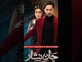 Hibabukhari Danishtamour All Dramas Couple Youtubeshorts Viralshort 