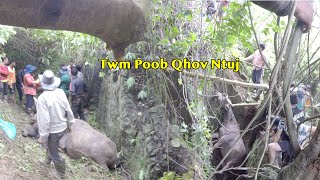 2019-12-06 - Twm poob qhov ntuj
