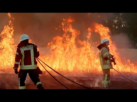 Kornfeldbrand    Aus der Arbeit der Hecklinger Feuerwehren