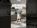 Office vibes: coworker chronicles #fok