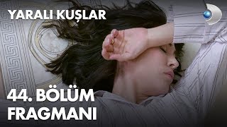 Yaralı Kuşlar 44. Bölüm Fragmanı
